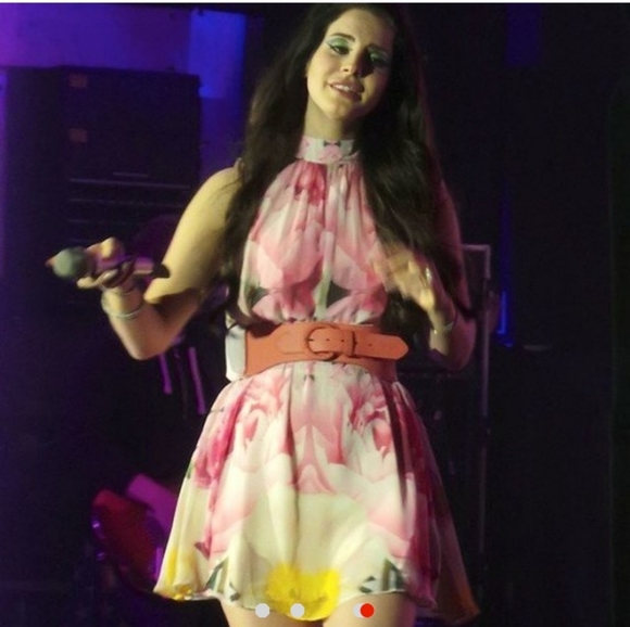 SOLD Lana Del Rey dress - Picture 5 of 8
